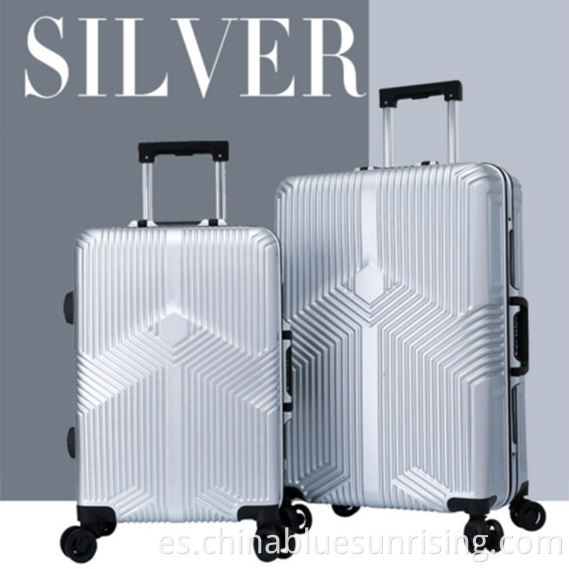 Silver luggage 